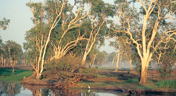 Image courtesy of Tourism NT
