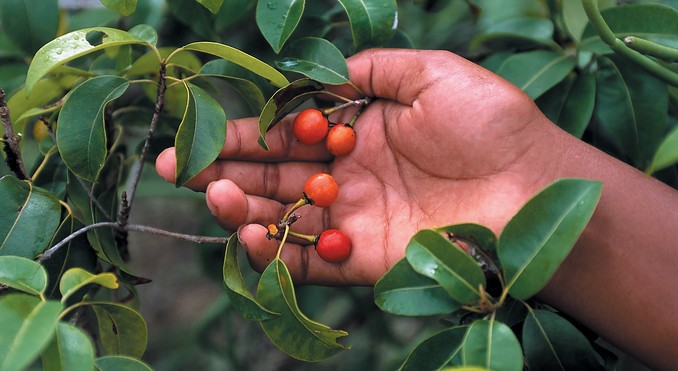 Image courtesy of Tourism NT