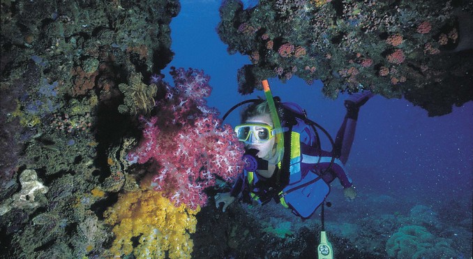 Image courtesy of Western Australia