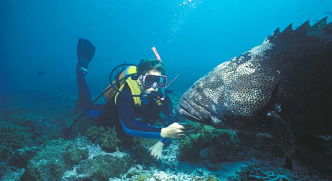 Image courtesy of Western Australia