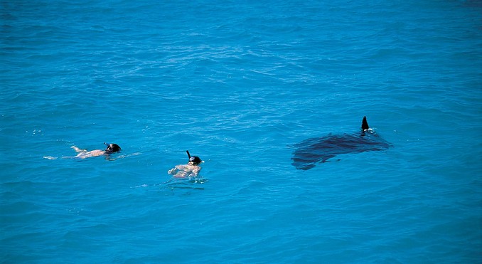Image courtesy of Western Australia