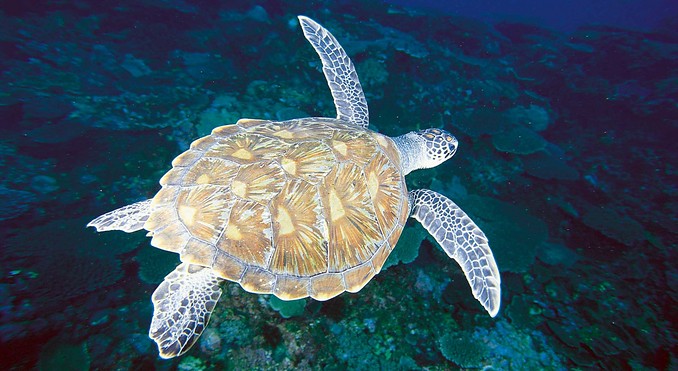 Image courtesy of Western Australia