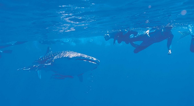 Image courtesy of Western Australia