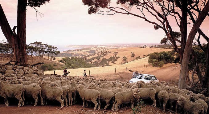 Image courtesy of South Australia