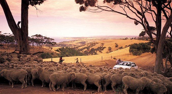 Image courtesy of South Australia