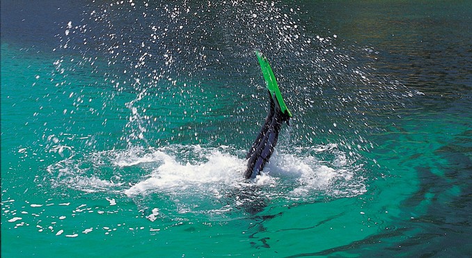 Image courtesy of South Australia