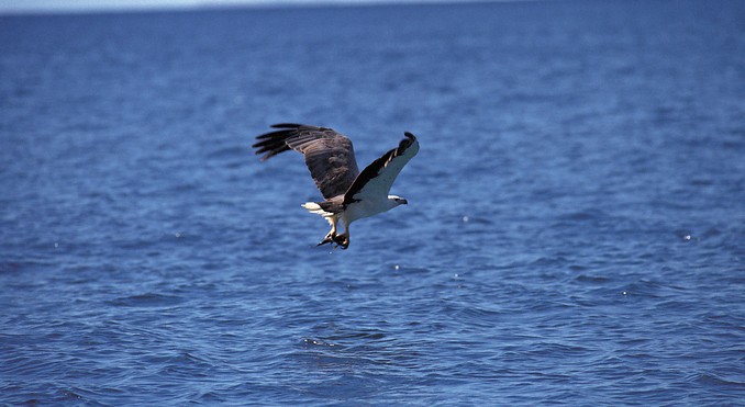 Image courtesy of South Australia