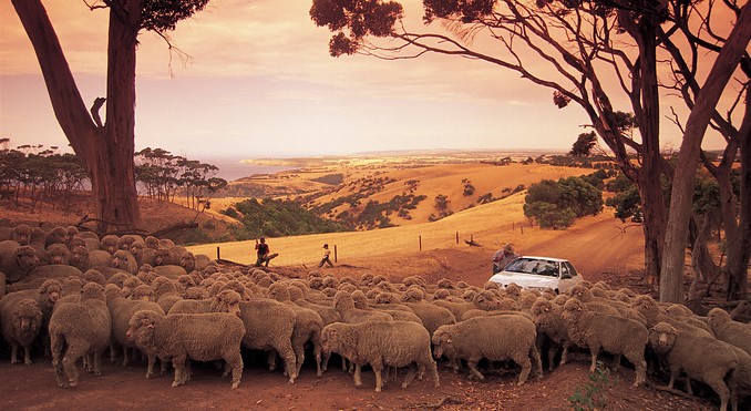 Image courtesy of South Australia