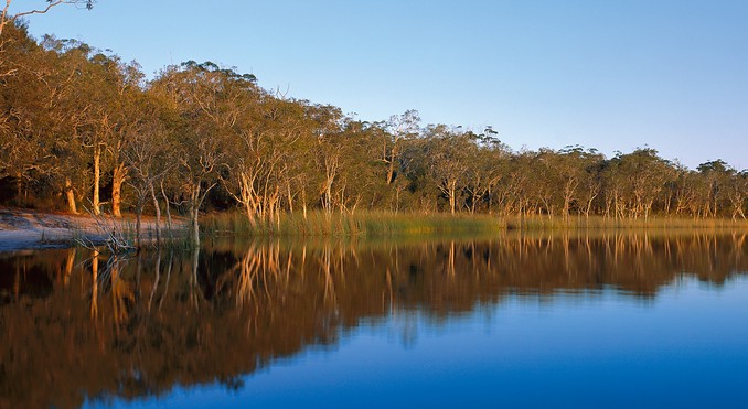 Image courtesy of Tourism Queensland
