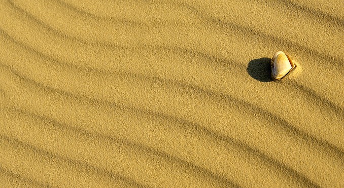 Image courtesy of Tourism Queensland