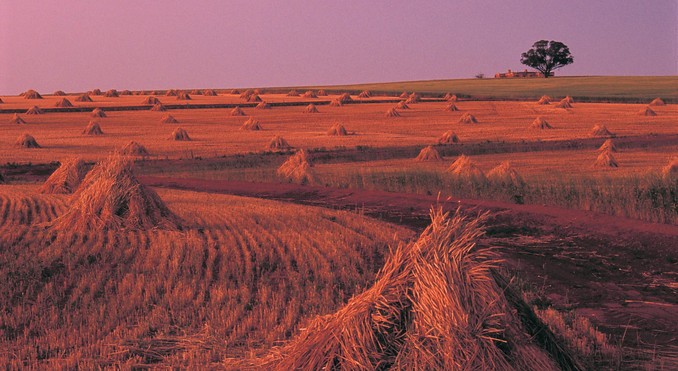 Image courtesy of Western Australia