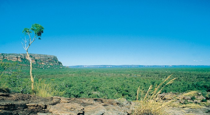 Image courtesy of Tourism NT
