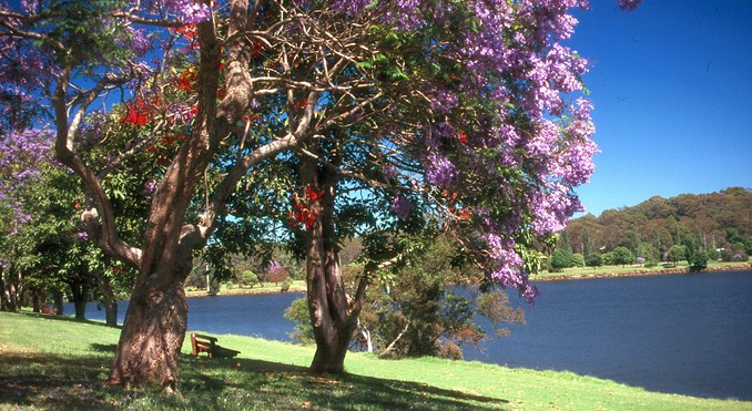 Image courtesy of Tourism New South Wales