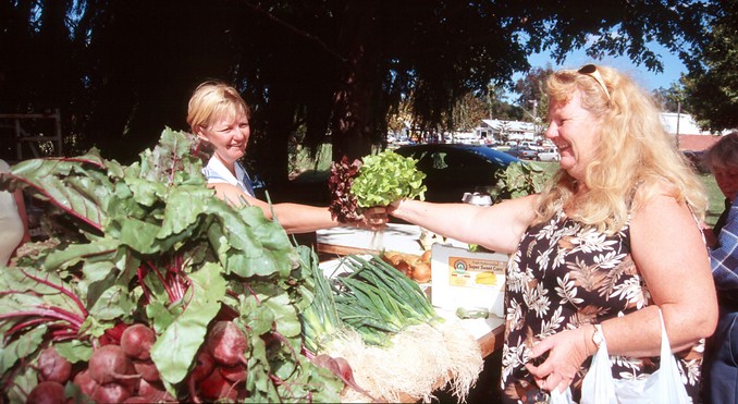 Image courtesy of Tourism New South Wales