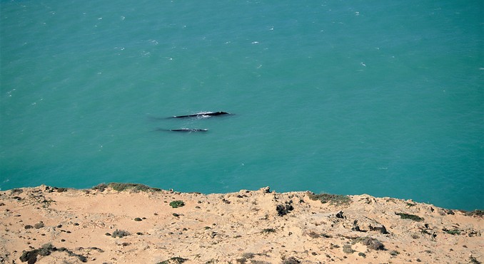 Image courtesy of South Australia