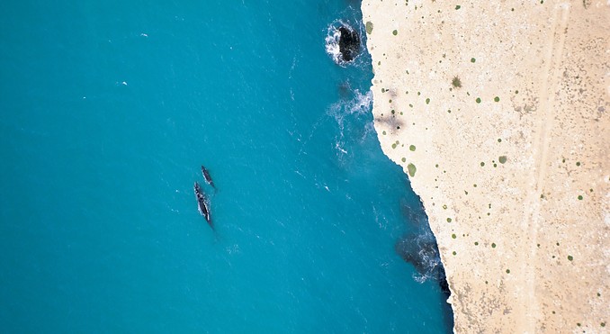 Image courtesy of South Australia