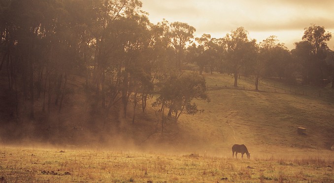 Image courtesy of South Australia