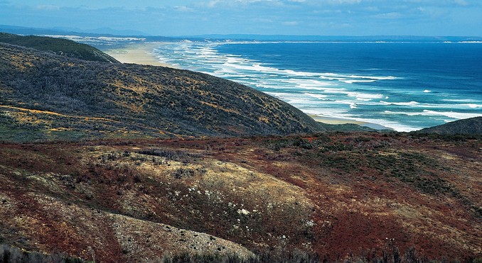 Tourism Tasmania and Joe Shemesh