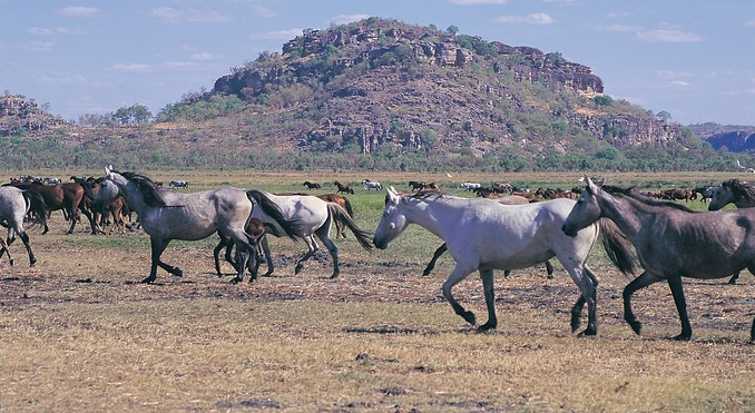Image courtesy of Tourism NT