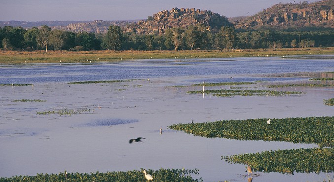 Image courtesy of Tourism NT