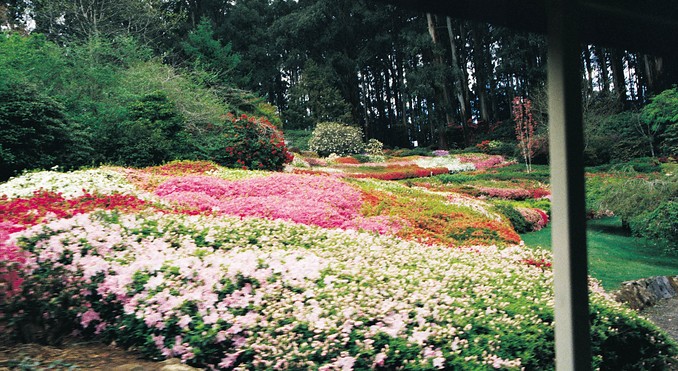 Image courtesy of Tourism Victoria