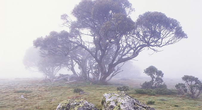 Image courtesy of Tourism Victoria