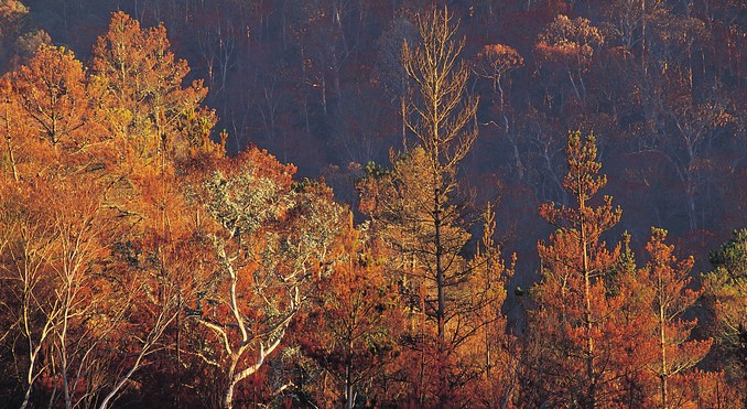 Image courtesy of Tourism Victoria