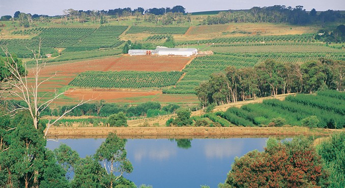 Image courtesy of Tourism New South Wales