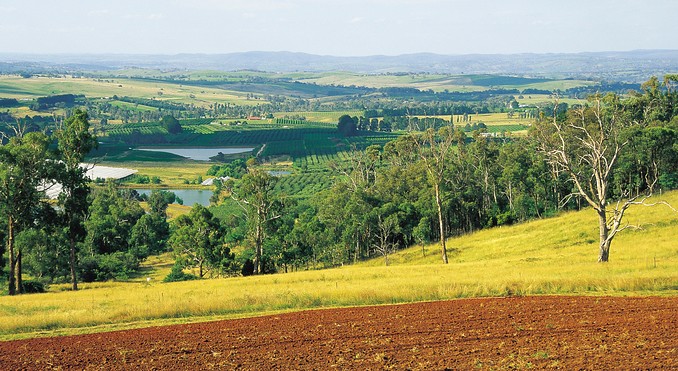Image courtesy of Tourism New South Wales