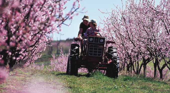 Image courtesy of Tourism New South Wales