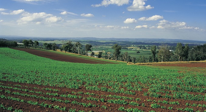 Image courtesy of Tourism New South Wales