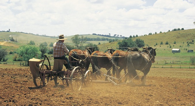 Image courtesy of Tourism New South Wales
