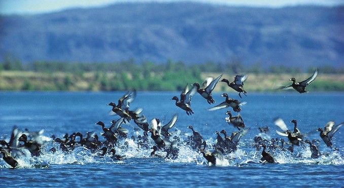 Image courtesy of Western Australia