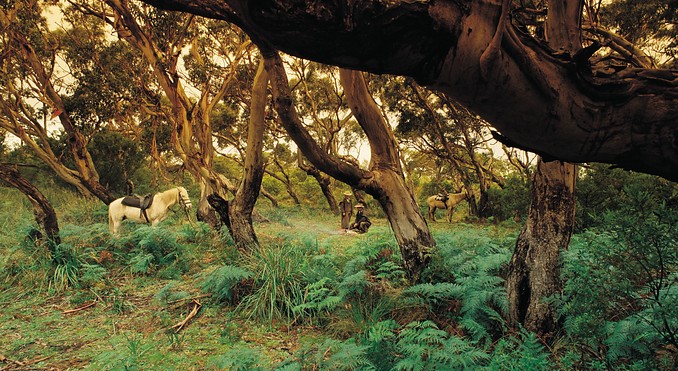 Image courtesy of Tourism Victoria