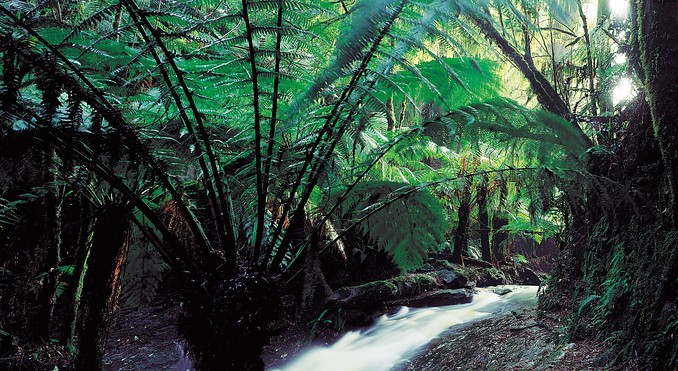 Image courtesy of Tourism Victoria
