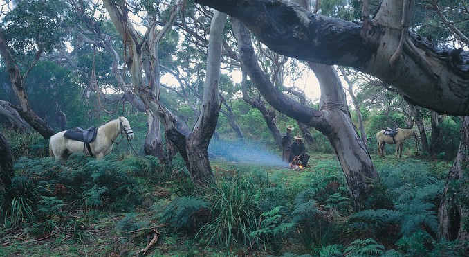 Otway Ranges National Park