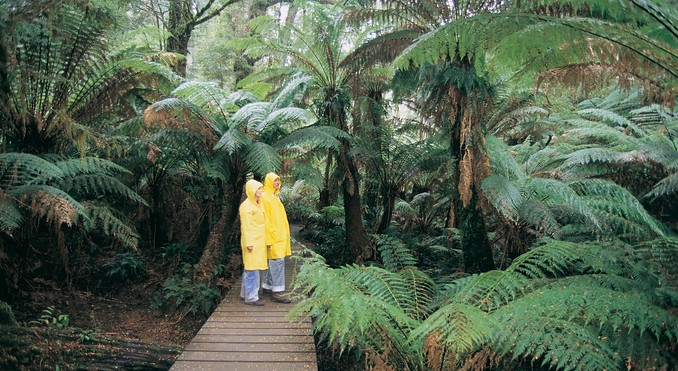 Image courtesy of Tourism Victoria