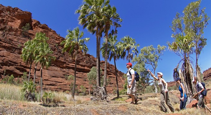 Image courtesy of Tourism NT