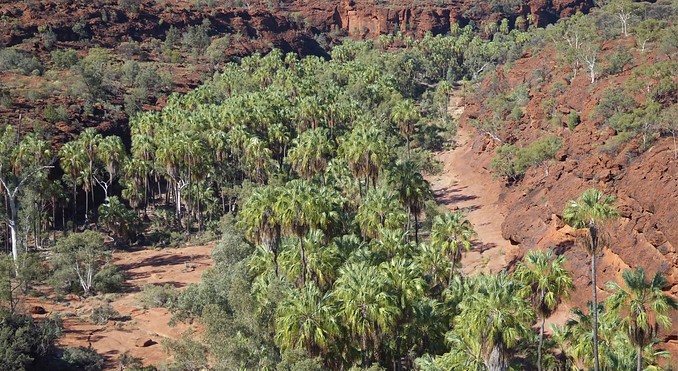 Image courtesy of Tourism NT