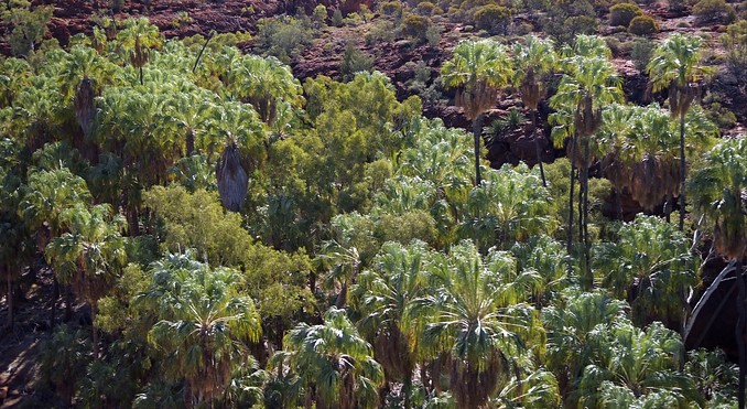 Image courtesy of Tourism NT