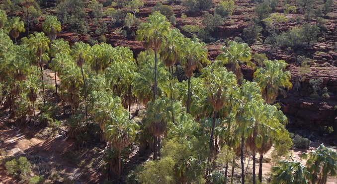 Image courtesy of Tourism NT