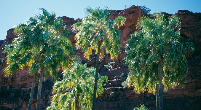 Image courtesy of Tourism NT