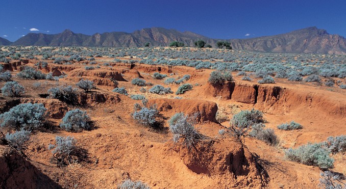 Image courtesy of South Australia