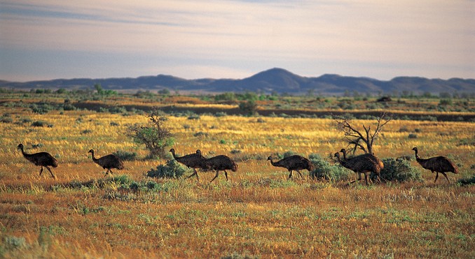 Image courtesy of South Australia