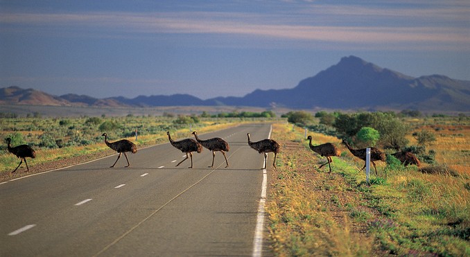 Image courtesy of South Australia