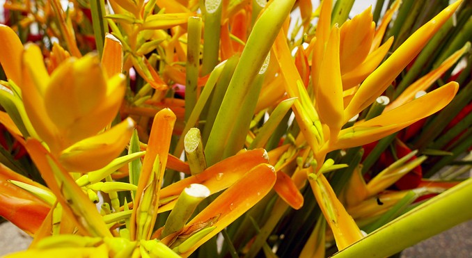 Image courtesy of Tourism NT