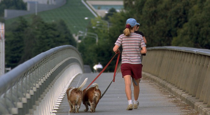 Image courtesy of ACT Tourism