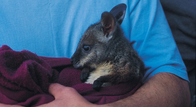 Image courtesy of South Australia