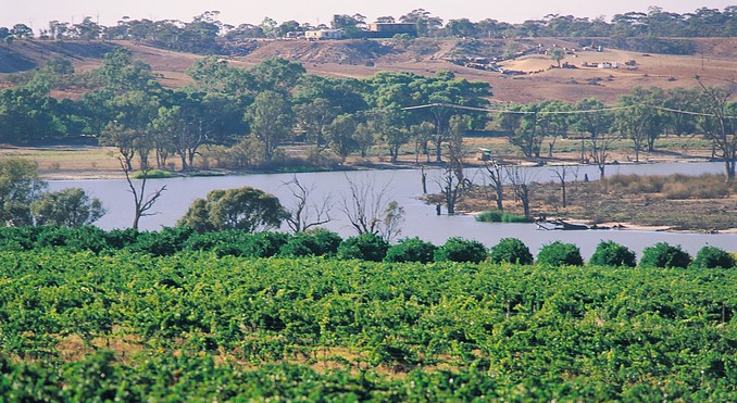 Image courtesy of South Australia