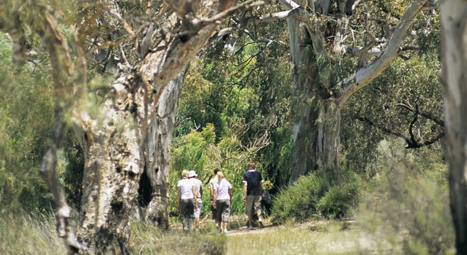 Image courtesy of South Australia